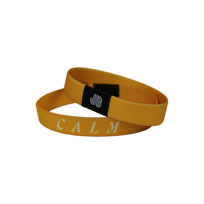 Jeremy Camp Calm Yellow Wristband Bracelet